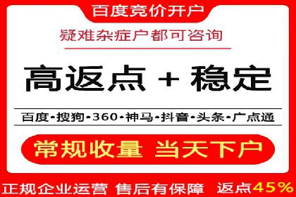 SEM广告投放策略：成功案例解析